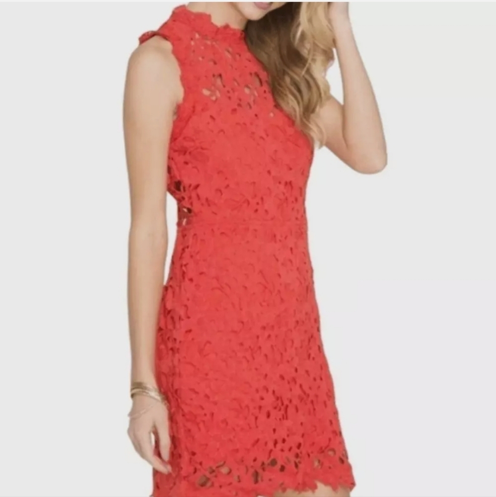 Lulus Tomato Red Lace Dress